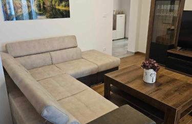 Khalli apartman 4 stars with private pool and jacuzzi near Opatija - Photo 62