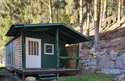 Grünhäuschen im Erzgebirge, 620 m üdM - Foto 21