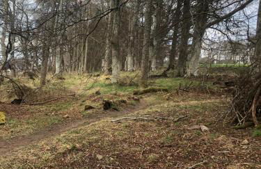 Appin Apartment - Foto 24