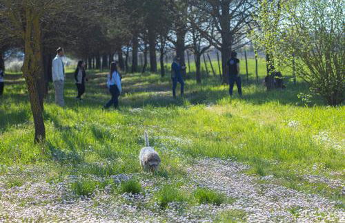 B&B Il Molinello - Foto 37