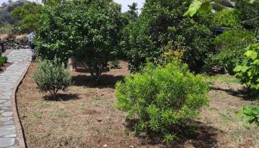 Casa Rural Sanjora - Foto 2