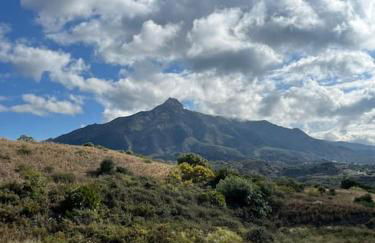 Boutique apartment 365 - Marbella - Photo 19