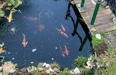 Appartement am Teich 2 - Photo 33