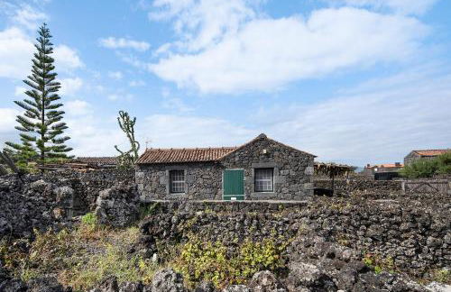 Adega Maciel - Photo 1