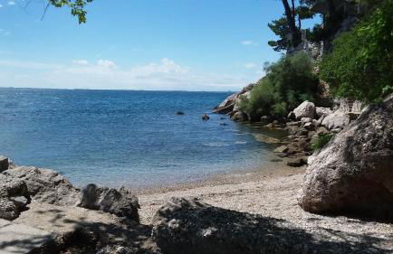 Alla Cantina - Foto 25