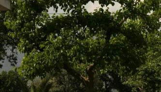 Agriturismo I GELSI - Photo 4