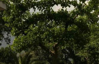 Agriturismo I GELSI - Photo 4