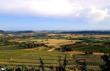 Bottwartal Apartment mit eigenem Eingang, top ruhige Lage, gemütliches Häusle für sich alleine - Foto 27