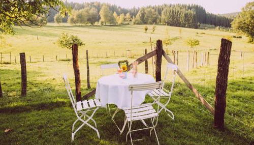 Stöltings Landhaus - Foto 3, Garden, Garden view