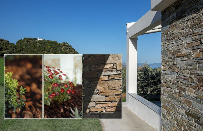 Casa Del Olivar - Photo 41