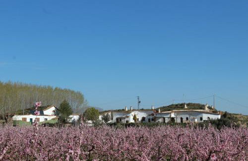 Cuevas Hammam Abuelo Jose - Photo 10