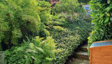 Apartment Eifelland - Foto 5, Garden