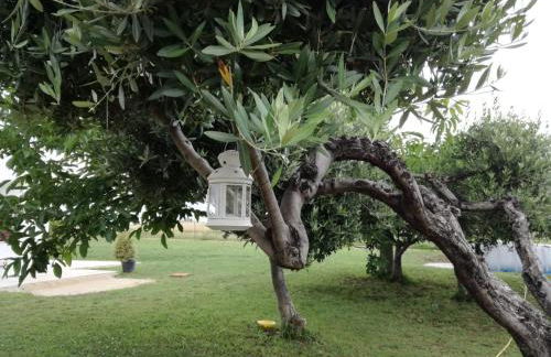 Relais Il Giardino fra gli Ulivi - Foto 49