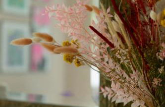 Studio bord de Loire - Proche Centre Ville - Aéroport à - 10min - Foto 2