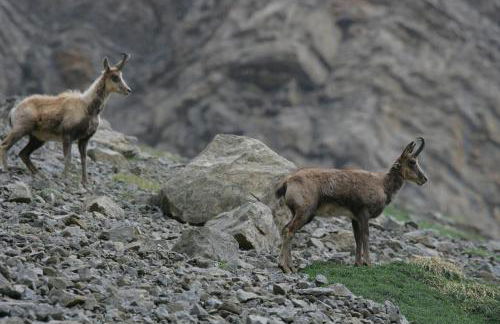 Apartamentos Best Ainsa - Photo 57