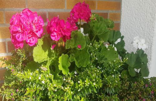 Gemutliche Wohnung fur 4 Personen - Foto 71