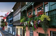 Apartamento Fatima - Foto 19