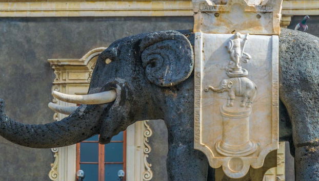 Tour di Catania + Degustazione di vino