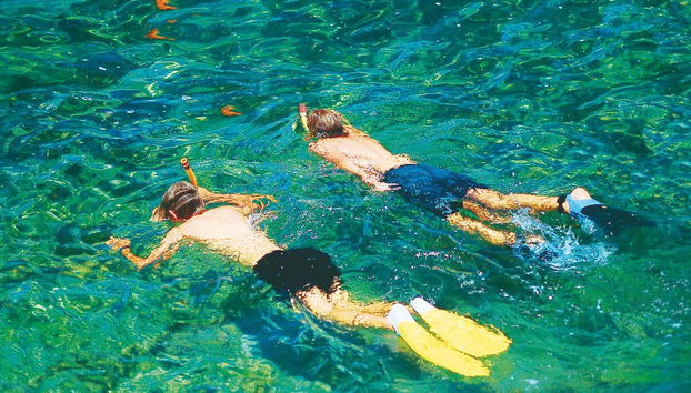 Observation de dauphins au sud de Majorque - Photo 4