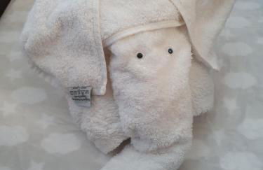 Villa Sheila with private pool - Foto 38