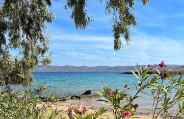 Villa Maxima Lavrio - Foto 44