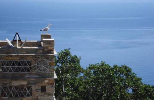 Andros Vineyard house with sea view - Foto 19