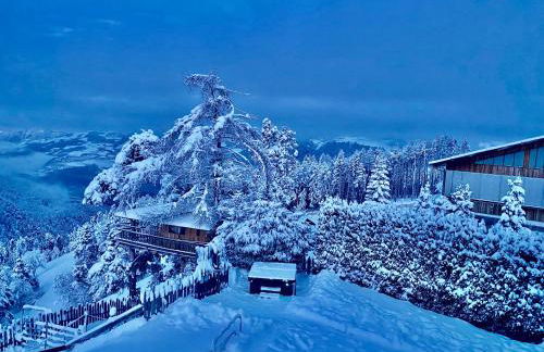 Oberprantschöllhof - Horse Mountain Stable - Foto 34