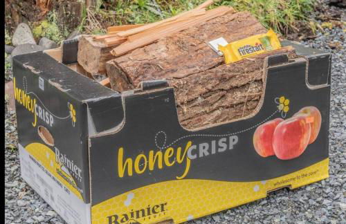 Luxe Chalet at Rainier Entrance with Hot Tub-AC-WiFi - Photo 10