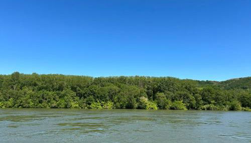 Le Paradis du Rhône - mobilhome moderne et confortable - Foto 2