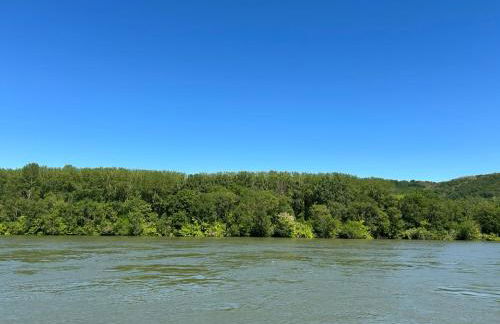 Le Paradis du Rhône - mobilhome moderne et confortable - Foto 2