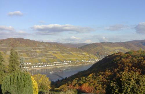 Schau-Rhein#1 - On top of Bacharach, Rhineview - Photo 23