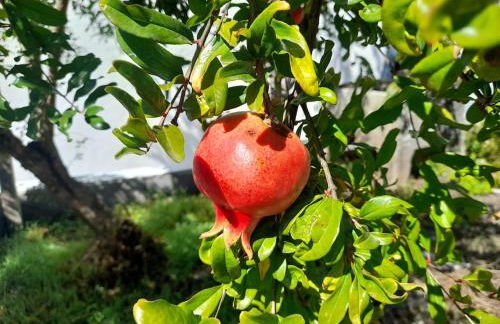 A Casa da Azenha - Foto 8