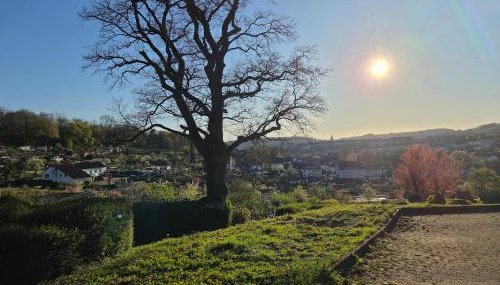 Charmante & Gemütliche Wohnung inkl Kaffee und Tee - Foto 4