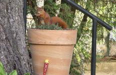 Exotic Tropical Palace - ComfyHome Apartments Stuttgart - Foto 73