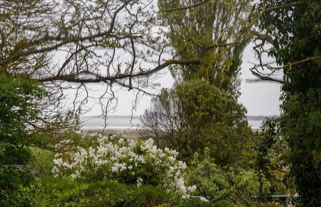 Manor Lodge, Walberswick - Photo 38