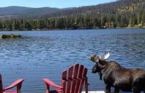 Historic Chulitna River Lodge - Foto 49