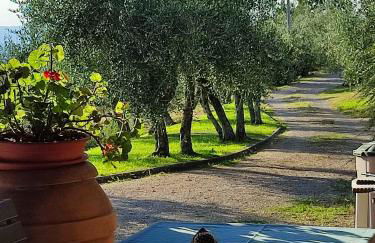 Agriturismo Cafaggio Primo - Foto 66