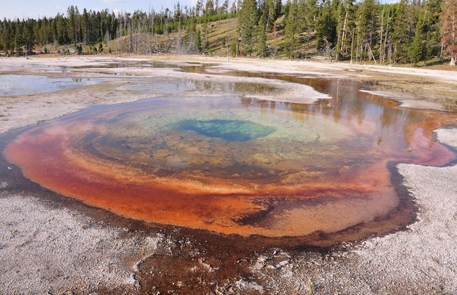 Grandma's Cabin - Foto 42