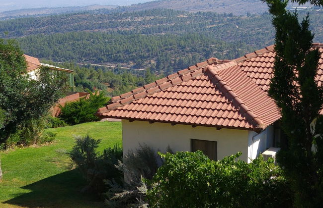 Shoresh Green Hills Family Suites Hotel - Foto 21