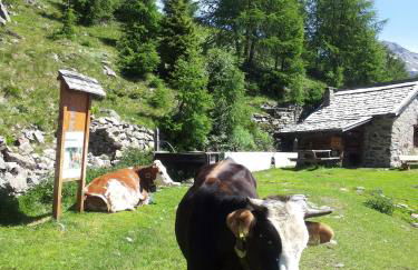 Cevedale-Valdisole - Foto 31