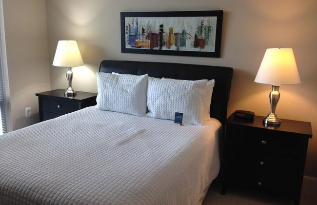 National at Reston Town Center - Photo 2