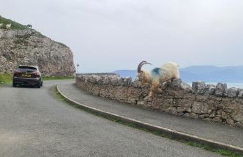 Bewles Caravan - Photo 41