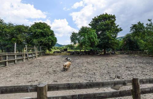 1 Bed in Welshpool oc-75714 - Foto 16