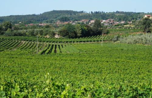 Agriturismo Fioralba - Photo 57