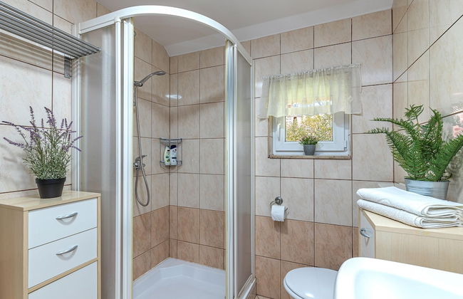 Forge Of Happiness - Foto 15