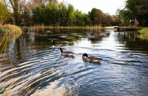 Stable Cottage - Rudge Farm Cottages - Foto 19