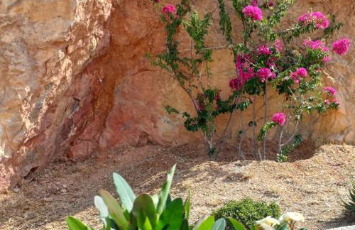 Skiathos Lagoterra Apartments - Foto 42