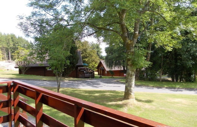 Bluebell Lodge 4 with Hot Tub - Photo 15