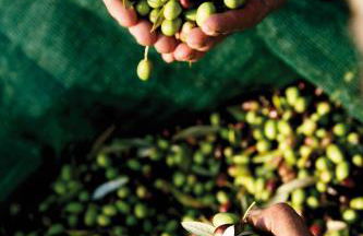 Agriturismo Le Calle - Foto 21