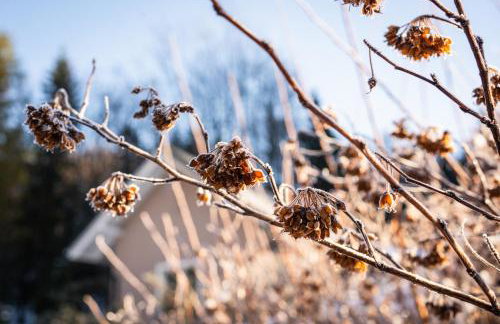Domek Pierwiosnek Ustroń - cisza, las, balia i totalny relaks - Ucieknij od zgiełku i poczuj spokój natury - Photo 32